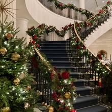 Tree and Stairs